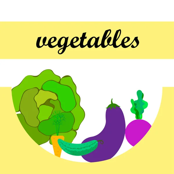 Cabbage, beet, carrot, eggplant, cucumber, fresh vegetables. Organic food poster. Farmer market design. Vector background. — Stock vektor