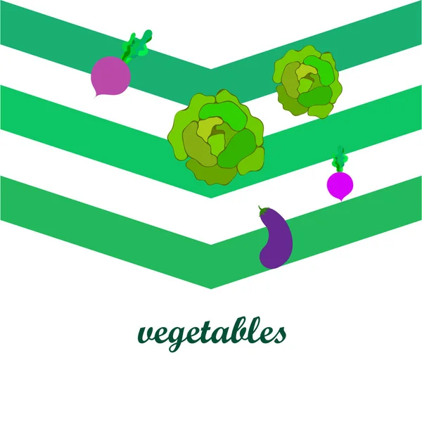 Kohl, Auberginen, Rüben, frisches Gemüse. Plakat mit Bio-Lebensmitteln. Bauernmarktgestaltung. Vektorhintergrund. — Stockvektor