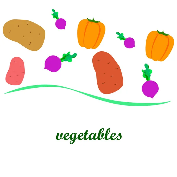 Légumes frais. Poivrons, betteraves, pommes de terre. Affiche alimentaire biologique. Aménagement du marché des agriculteurs. Vecteur . — Image vectorielle