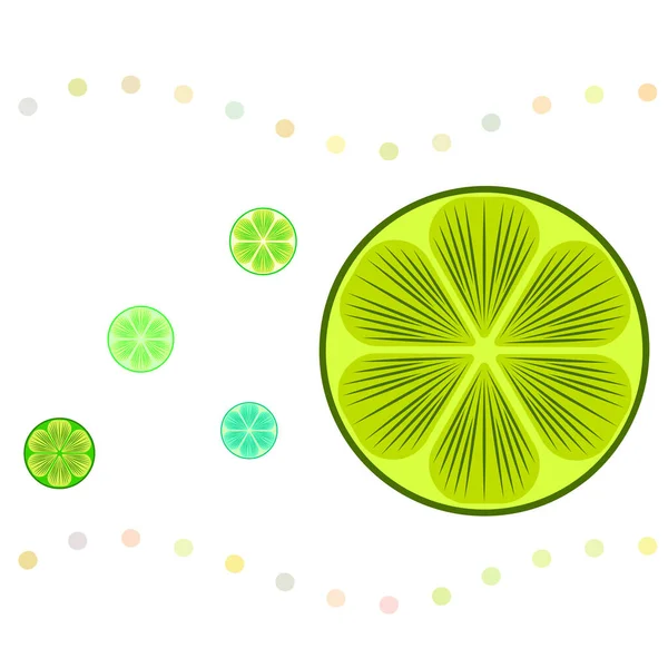 Grön halva och slice lime. vektor illustration, bakgrund. — Stock vektor