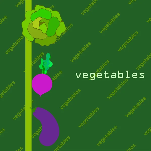 Капуста, баклажаны, свекла, свежие овощи. Плакат с органической едой. Дизайн фермерского рынка. Векторный фон . — стоковый вектор