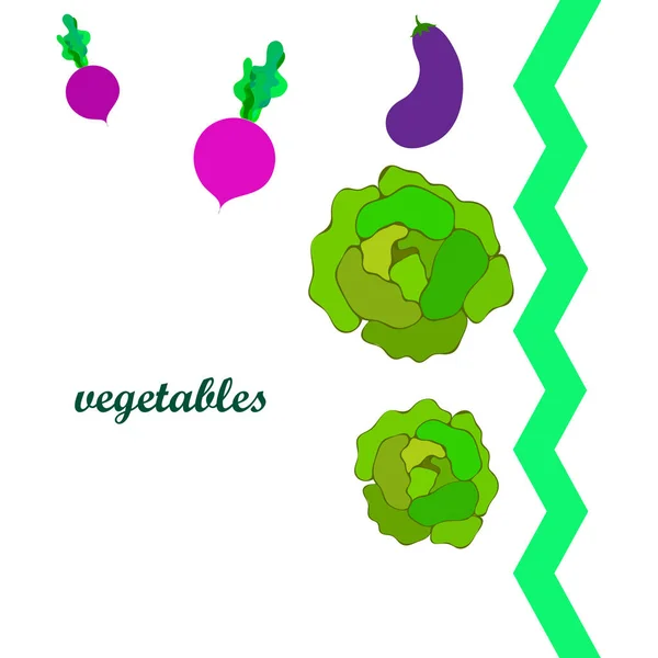 Cabbage, eggplant, beets, fresh vegetables. Organic food poster. Farmer market design. Vector background. — Stock vektor
