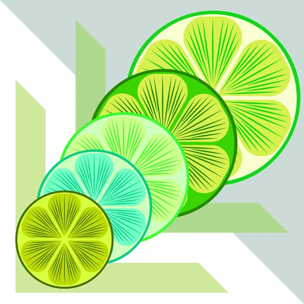 Groene helft en schijfje limoen. Vector illustratie, achtergrond. — Stockvector