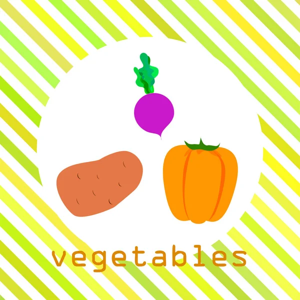 Fresh vegetables. Peppers, beets, potatoes. Organic food poster. Farmers market design. Vector. — ストックベクタ