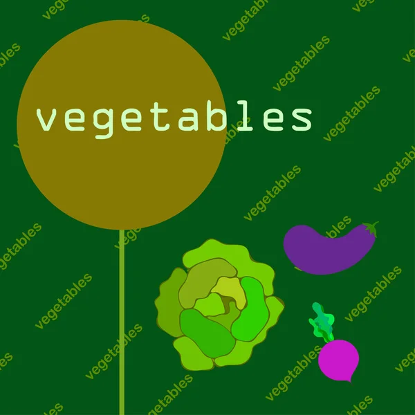 Káposzta, padlizsán, cékla, friss zöldségek. Organikus étel poszter. Gazdapiaci tervezés. Vektorháttér. — Stock Vector