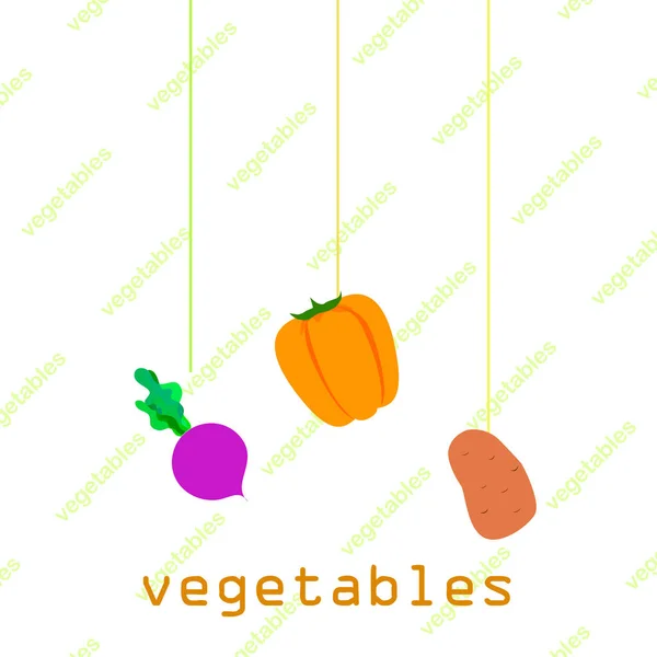 Verduras frescas. Pimientos, remolachas, patatas. Cartel de alimentos orgánicos. Diseño del mercado de agricultores. Vector . — Vector de stock