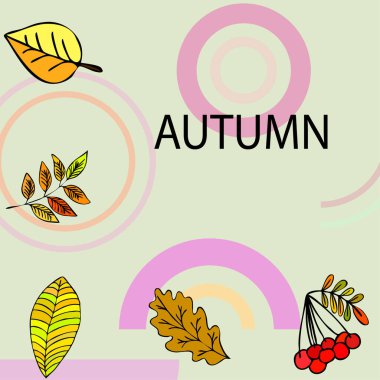 Tasarımınız için vektör simgeleri dizisi