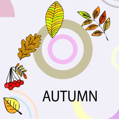 Tasarımınız için vektör simgeleri dizisi