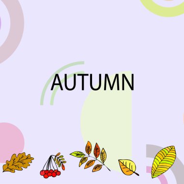 Tasarımınız için vektör simgeleri dizisi