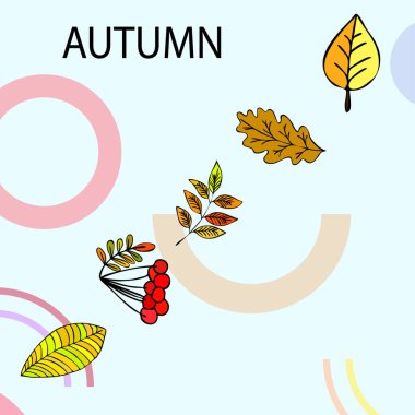 Tasarımınız için vektör simgeleri dizisi