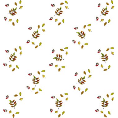 Tasarımınız için vektör simgeleri dizisi