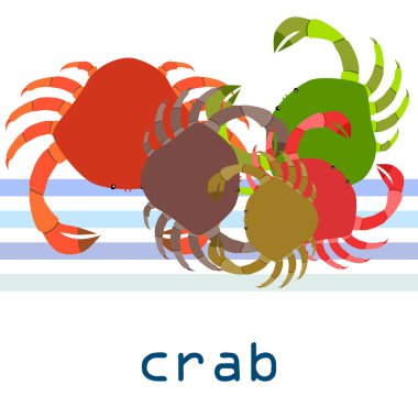 Yengeç. Deniz ürünleri. Bir deniz hayvanının vektör illüstrasyonu.