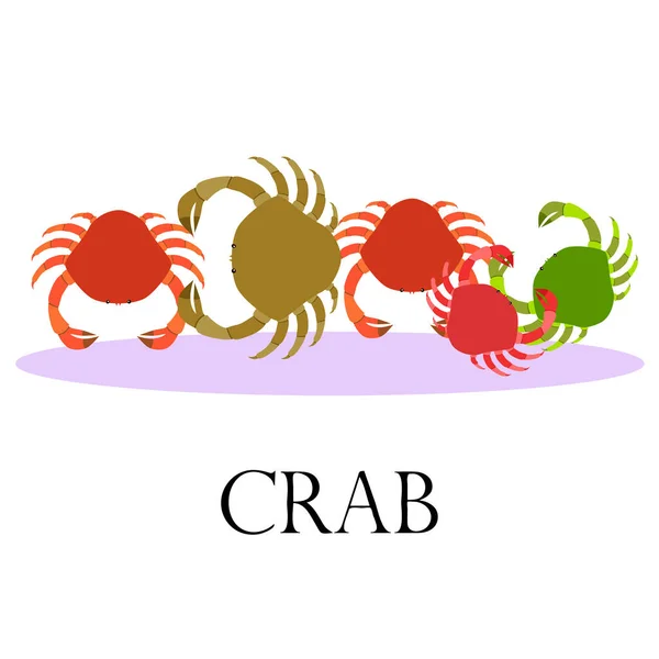 Crabs. Seafood. Vector illustration of a sea animal. — Stock Vector