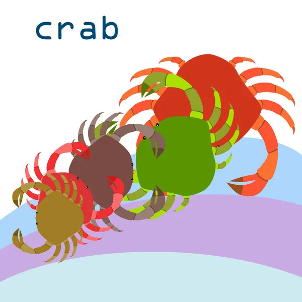 Krabbor. Skaldjur. Vektor illustration av ett havsdjur. — Stock vektor