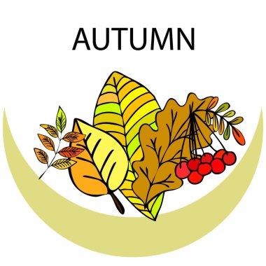 Tasarımınız için vektör simgeleri dizisi