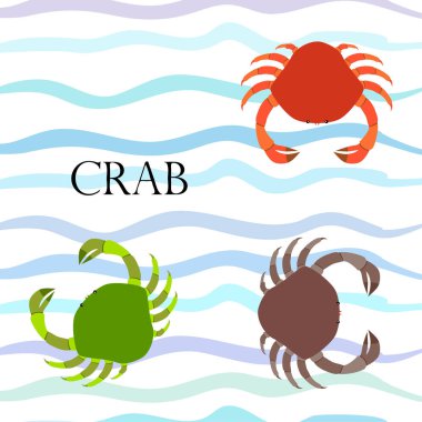 Yengeç. Deniz ürünleri. Bir deniz hayvanının vektör illüstrasyonu.