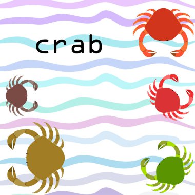 Yengeç. Deniz ürünleri. Bir deniz hayvanının vektör illüstrasyonu.