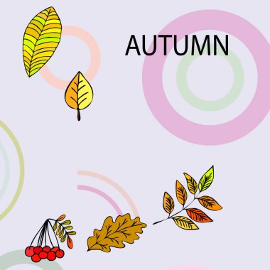 Tasarımınız için vektör simgeleri dizisi