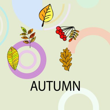 Tasarımınız için vektör simgeleri dizisi