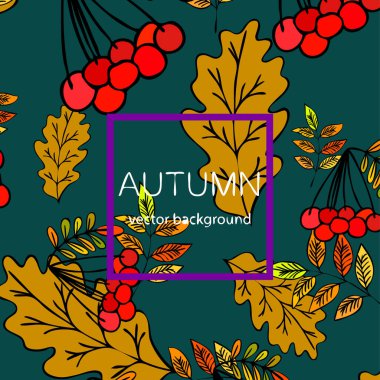 Tasarımınız için vektör simgeleri dizisi