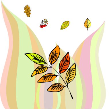 Tasarımınız için vektör simgeleri dizisi