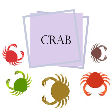 Yengeç. Deniz ürünleri. Bir deniz hayvanının vektör illüstrasyonu.