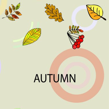 Tasarımınız için vektör simgeleri dizisi