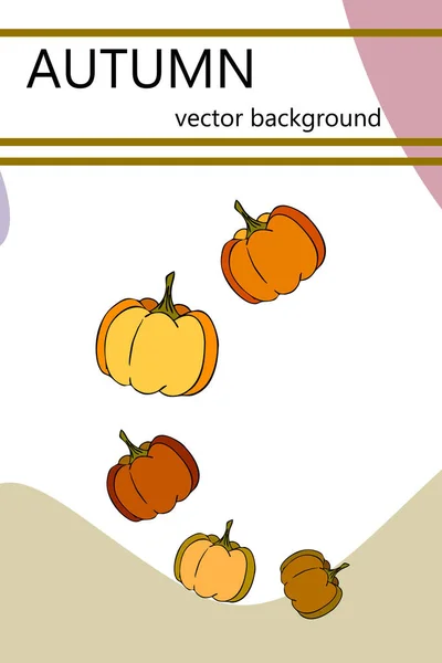 Set Von Vektorsymbolen Für Ihr Design — Stockvektor