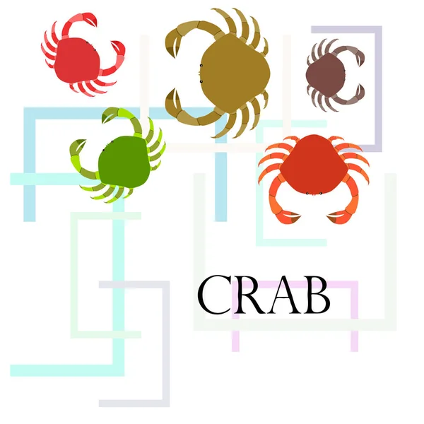 Des crabes. Fruits de mer. Illustration vectorielle d'un animal marin . — Image vectorielle