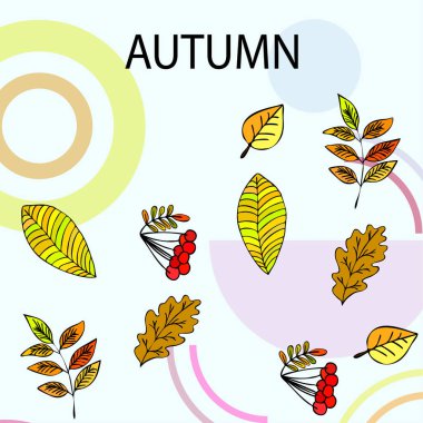 Tasarımınız için vektör simgeleri dizisi