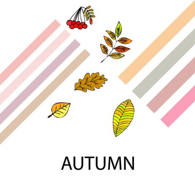 Tasarımınız için vektör simgeleri dizisi