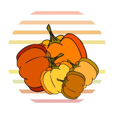 Tasarımınız için vektör simgeleri dizisi