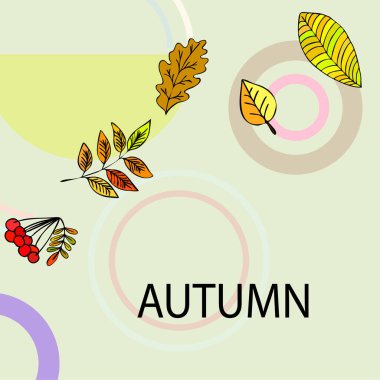 Tasarımınız için vektör simgeleri dizisi