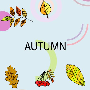 Tasarımınız için vektör simgeleri dizisi