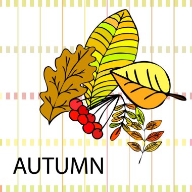 Tasarımınız için vektör simgeleri dizisi