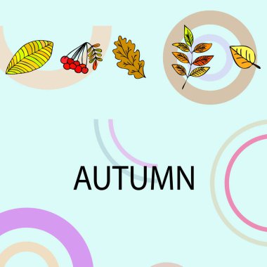 Tasarımınız için vektör simgeleri dizisi