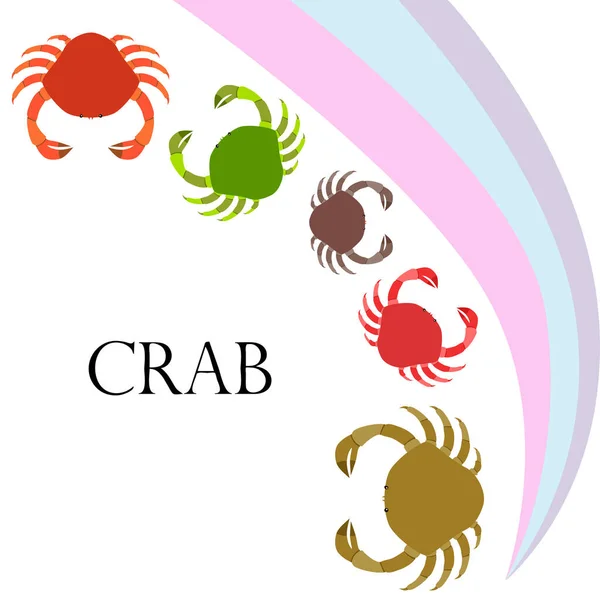 Des crabes. Fruits de mer. Illustration vectorielle d'un animal marin . — Image vectorielle