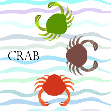 Yengeç. Deniz ürünleri. Bir deniz hayvanının vektör illüstrasyonu.