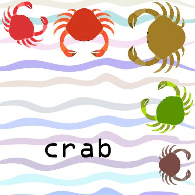 Yengeç. Deniz ürünleri. Bir deniz hayvanının vektör illüstrasyonu.