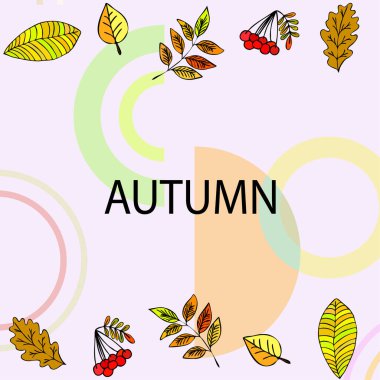 Tasarımınız için vektör simgeleri dizisi