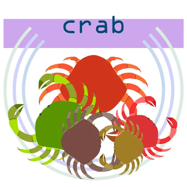 Des crabes. Fruits de mer. Illustration vectorielle d'un animal marin . — Image vectorielle