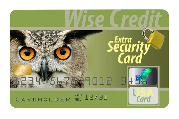 A wise owl stare out from a credit card that is loaded with security features including holograms, EMV chip and more. It is wise to be safe.