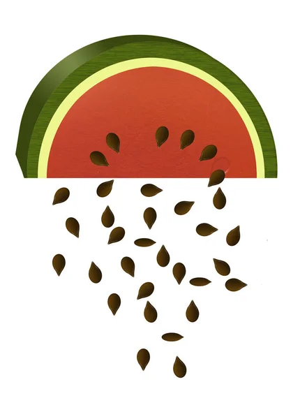 Fette Anguria Sono Oggetto Questa Illustrazione Colori Una Fetta Melone — Foto Stock