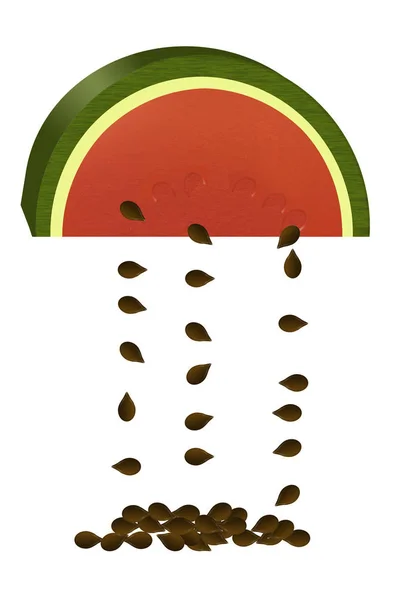 无核西瓜是这个颜色例证的主题 一大片甜瓜和掉落的种子在背景下被查出 — 图库照片