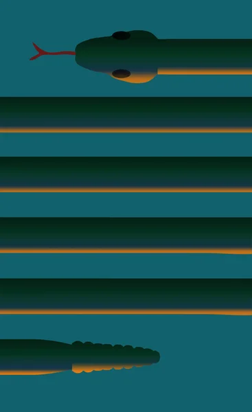 蛇は蛇を見るとページ上の線のように見えます これはカラーイラストです — ストック写真