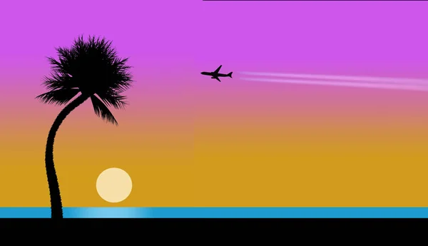 Airliner Contrail Seen Sky Traveling Tropical Beach Pelicans Sunset Juggler — Stock Photo, Image