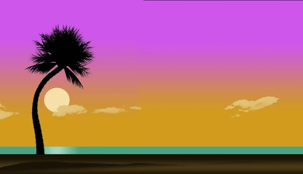 Here Tropical Beach Pelicans Sunset Juggler Palm Tree Ocean Beach — Stock Photo, Image