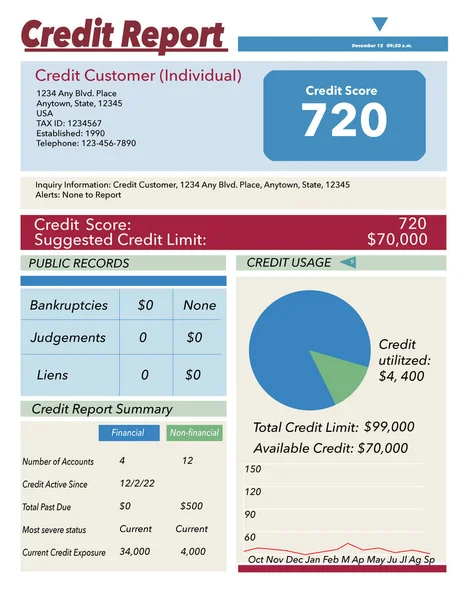 Generic Mock Credit Report Illustration — Stock Photo, Image