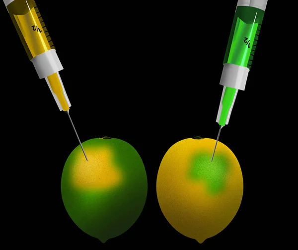 The idea of genetically and chemically engineered food and plants is illustrated with syringes injecting and changing the color of citrus fruit. This is an illustration.