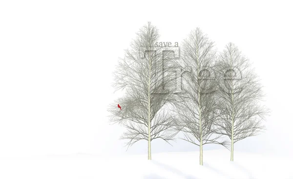 Пилить дерево - тема этого изображения, которое показывает красивые осины зимой . — стоковое фото